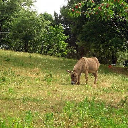 Quinta Do Crestelo 4*