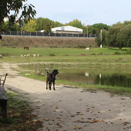 Quinta Do Crestelo 4* Seia
