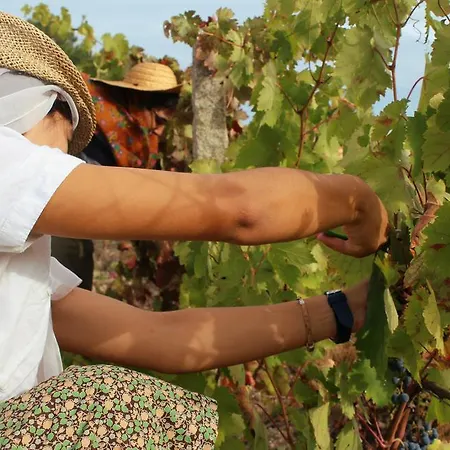 Quinta Do Crestelo Ξενοδοχείο με διαμερίσματα Seia