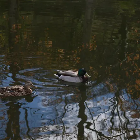 Quinta Do Crestelo Aparthotel 4*