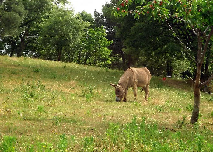 Quinta Do Crestelo 4*