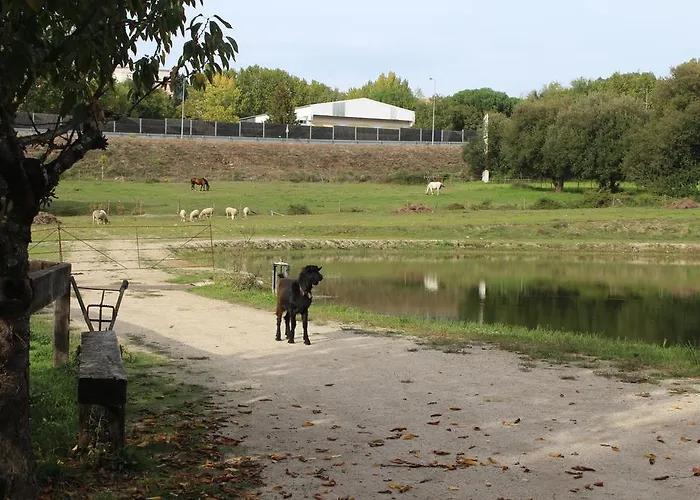 Quinta Do Crestelo 4* Seia