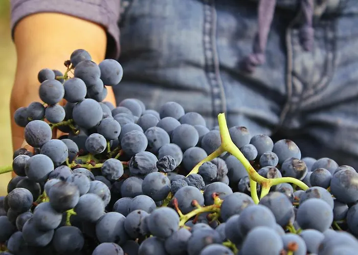 Apart-hotel Quinta Do Crestelo