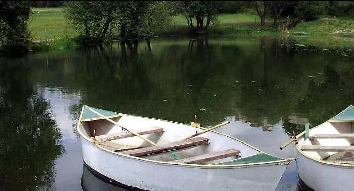 Quinta Do Crestelo شقة فندقية سيا