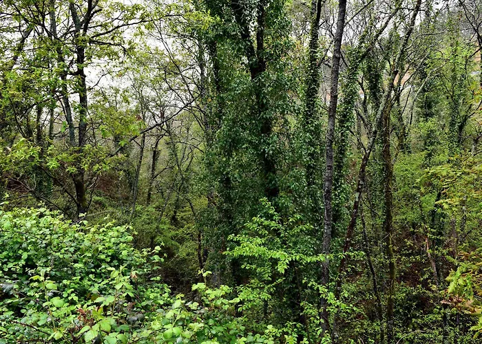 Quinta Do Crestelo سيا