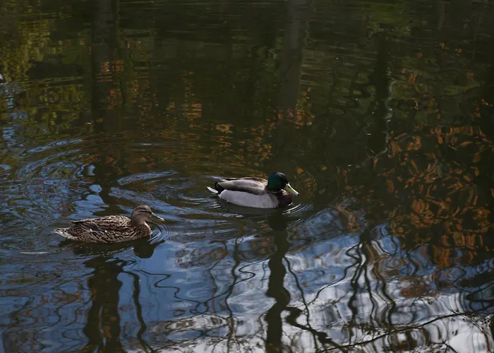 Quinta Do Crestelo شقة فندقية 4*